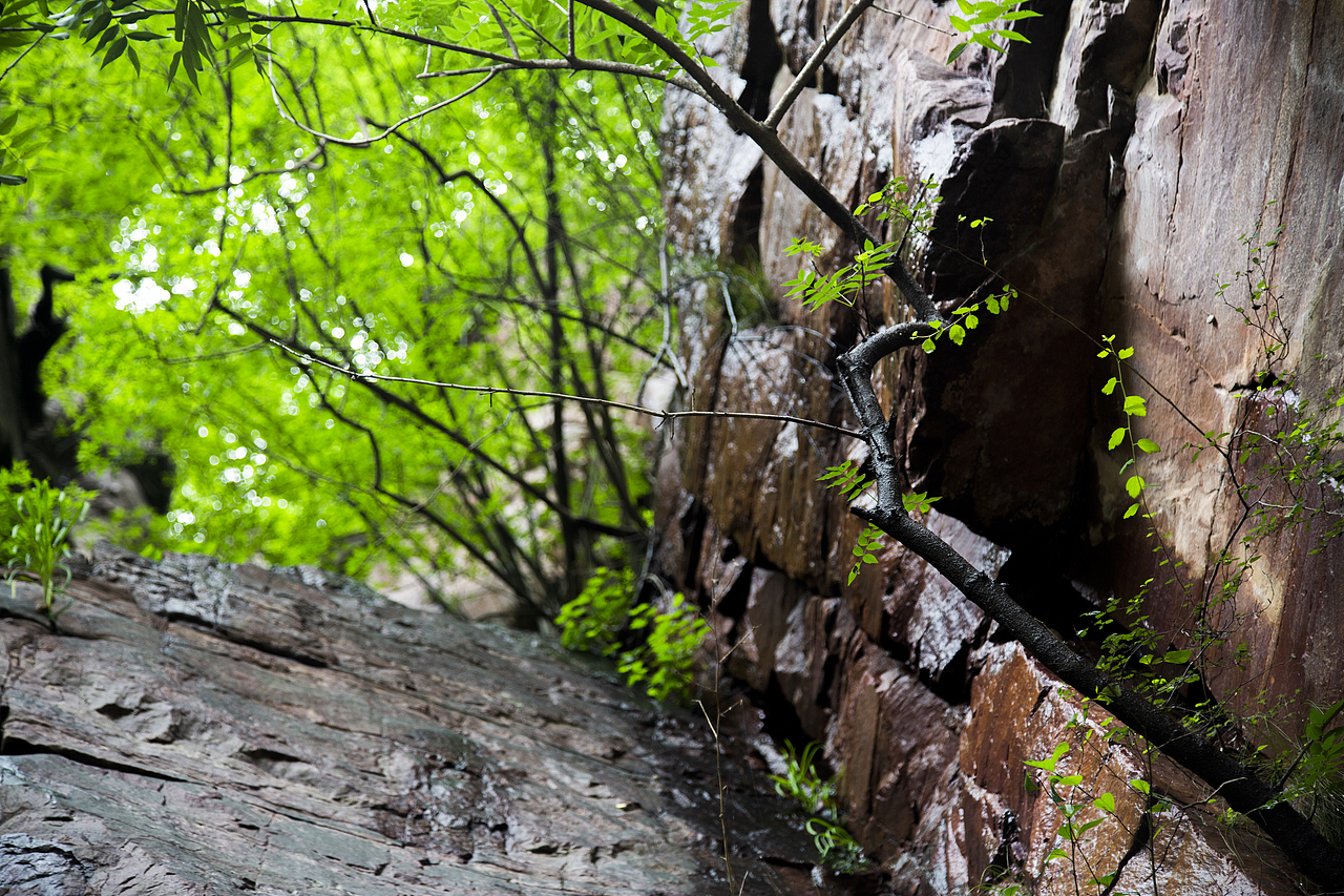 《山水》-盛夏（图ZMzEwMjgzNzI0） - 风光摄影 - 站酷设计师寒塘Y原创素材 - 站酷ZCOOL