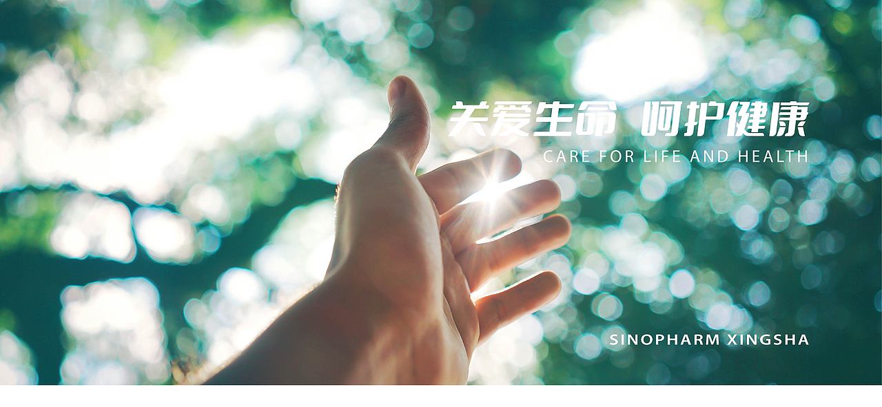 凭星而来,鲨耀新生logo设计