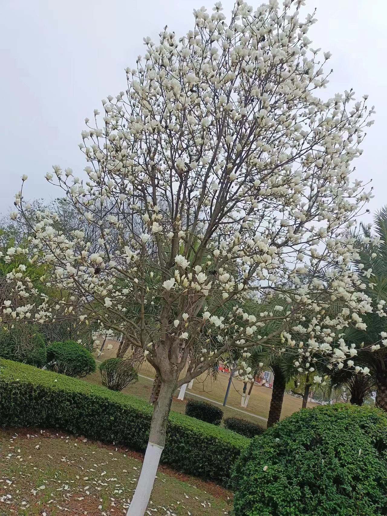 致这美丽的世界