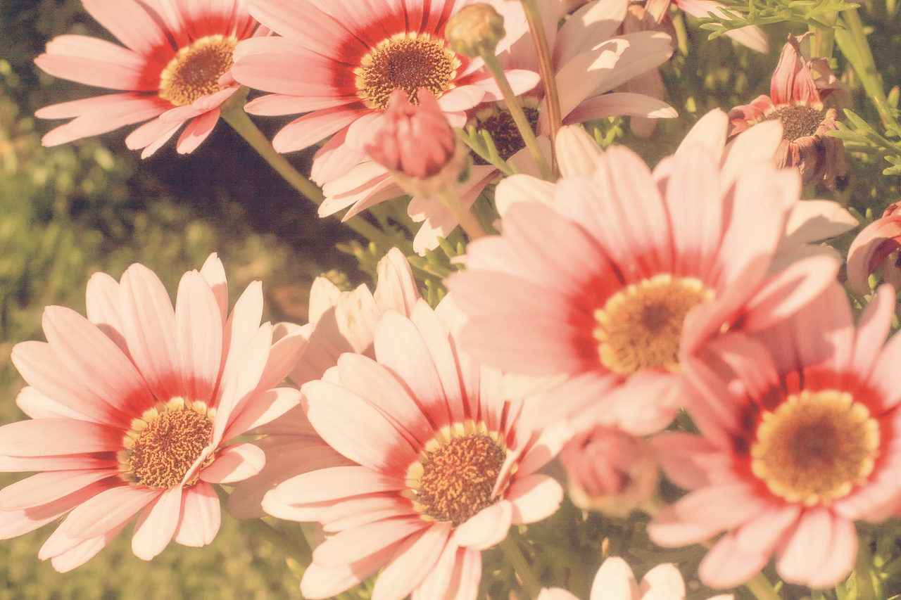 云南-大理旅游随记