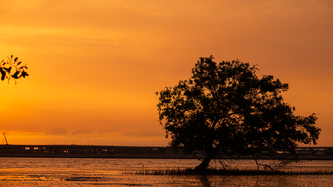日落夕阳（图ZMzQ2NjYzMDg4） - 风光摄影 - 站酷设计师TaoYuanCK原创素材 - 站酷ZCOOL