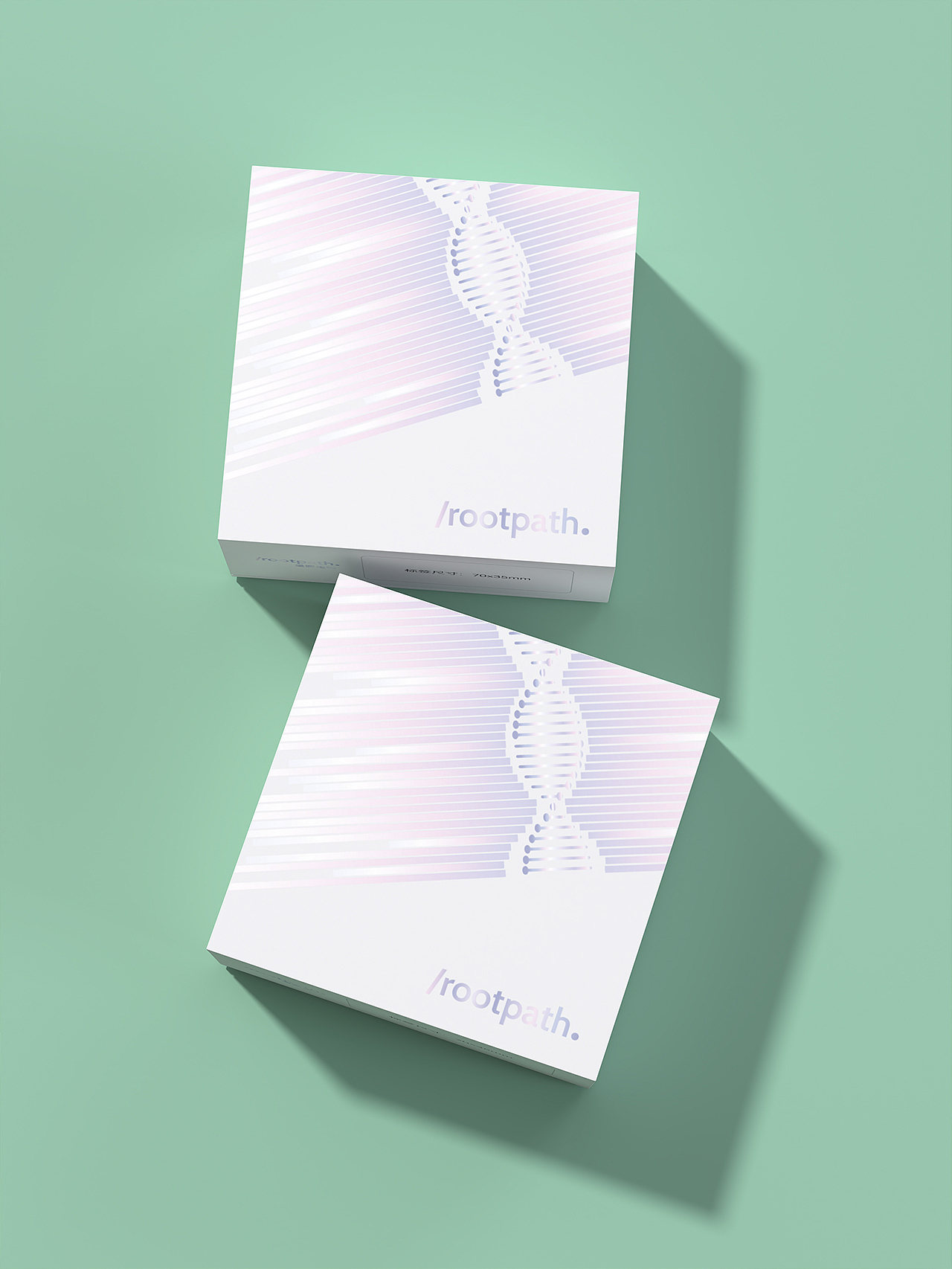 生物基因包装盒