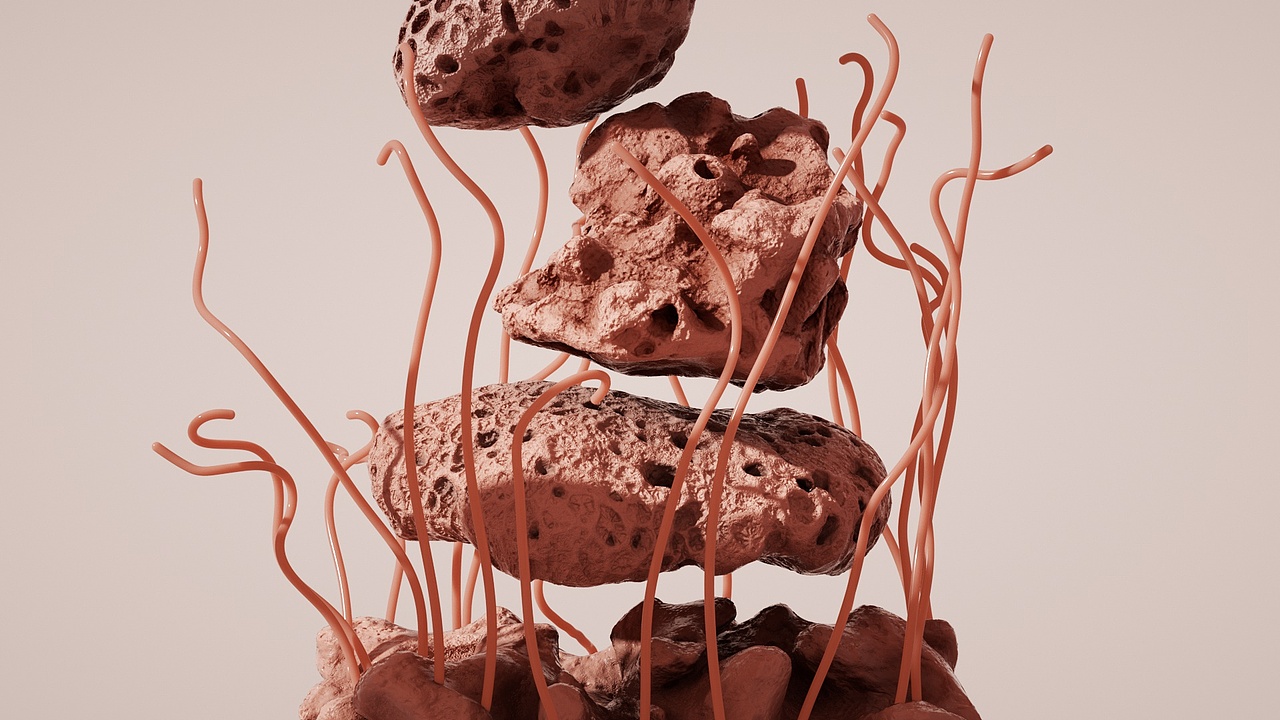 猫王音箱三维动画FxB