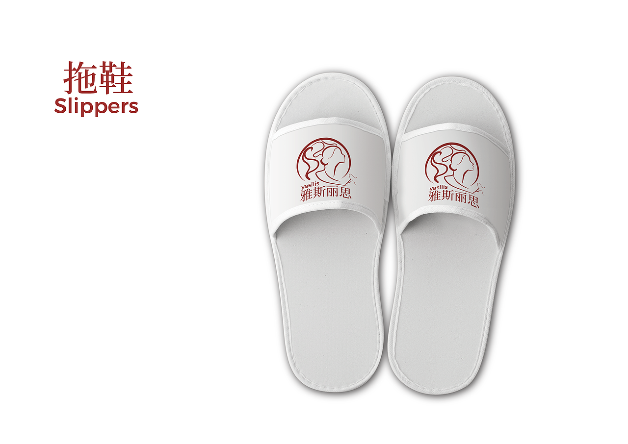 雅斯丽思VI手册