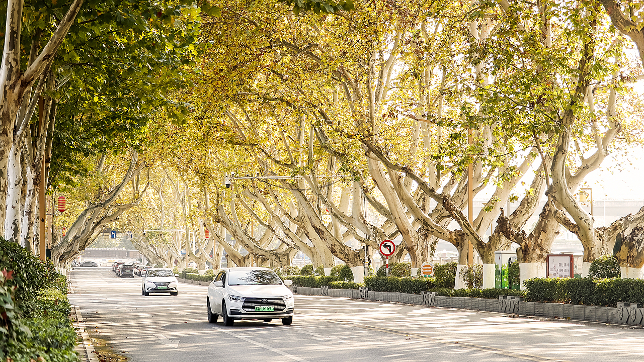 2023秋·周末南京城