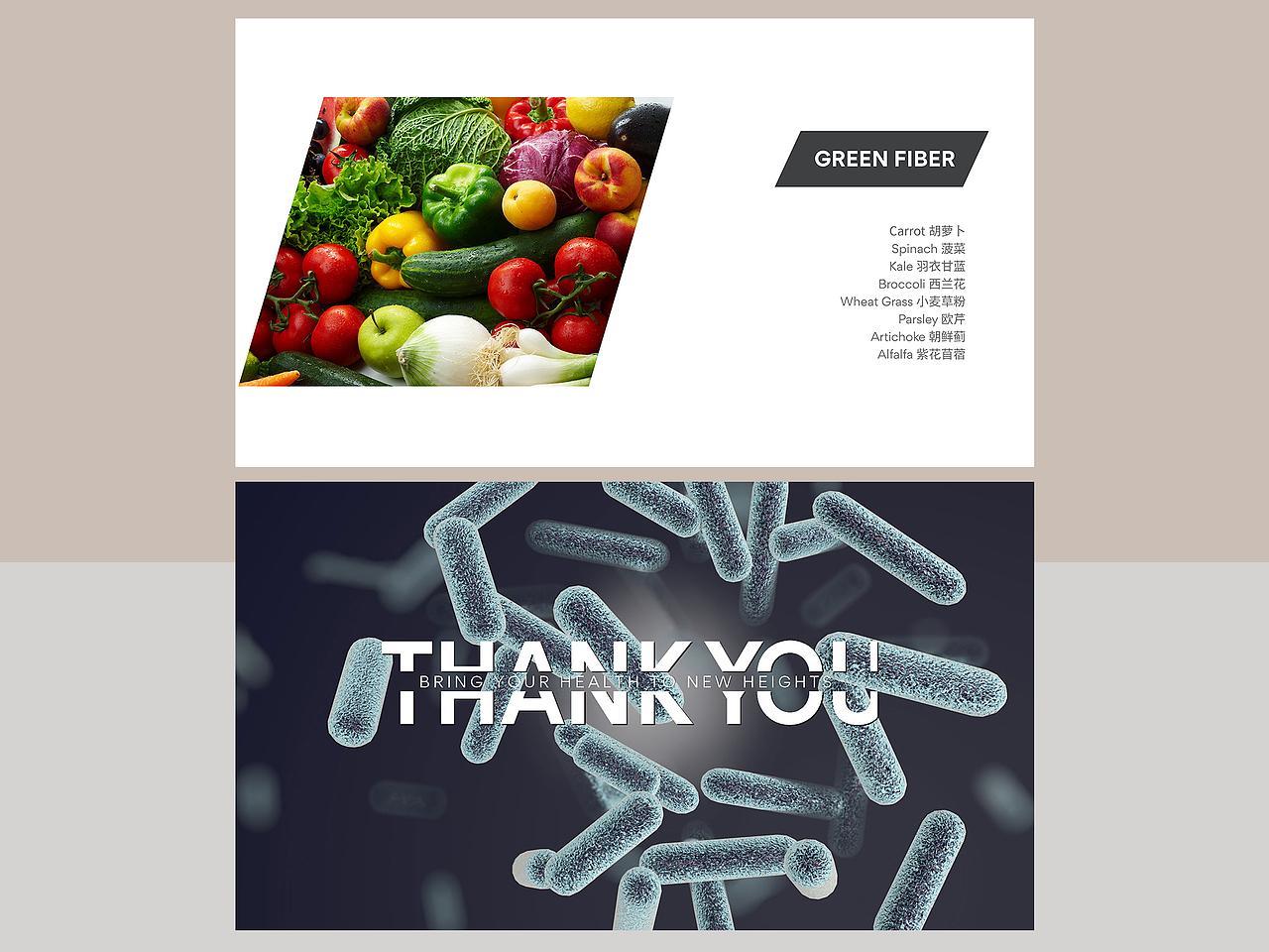 大健康之益生菌及微生态科普PPT排版设计