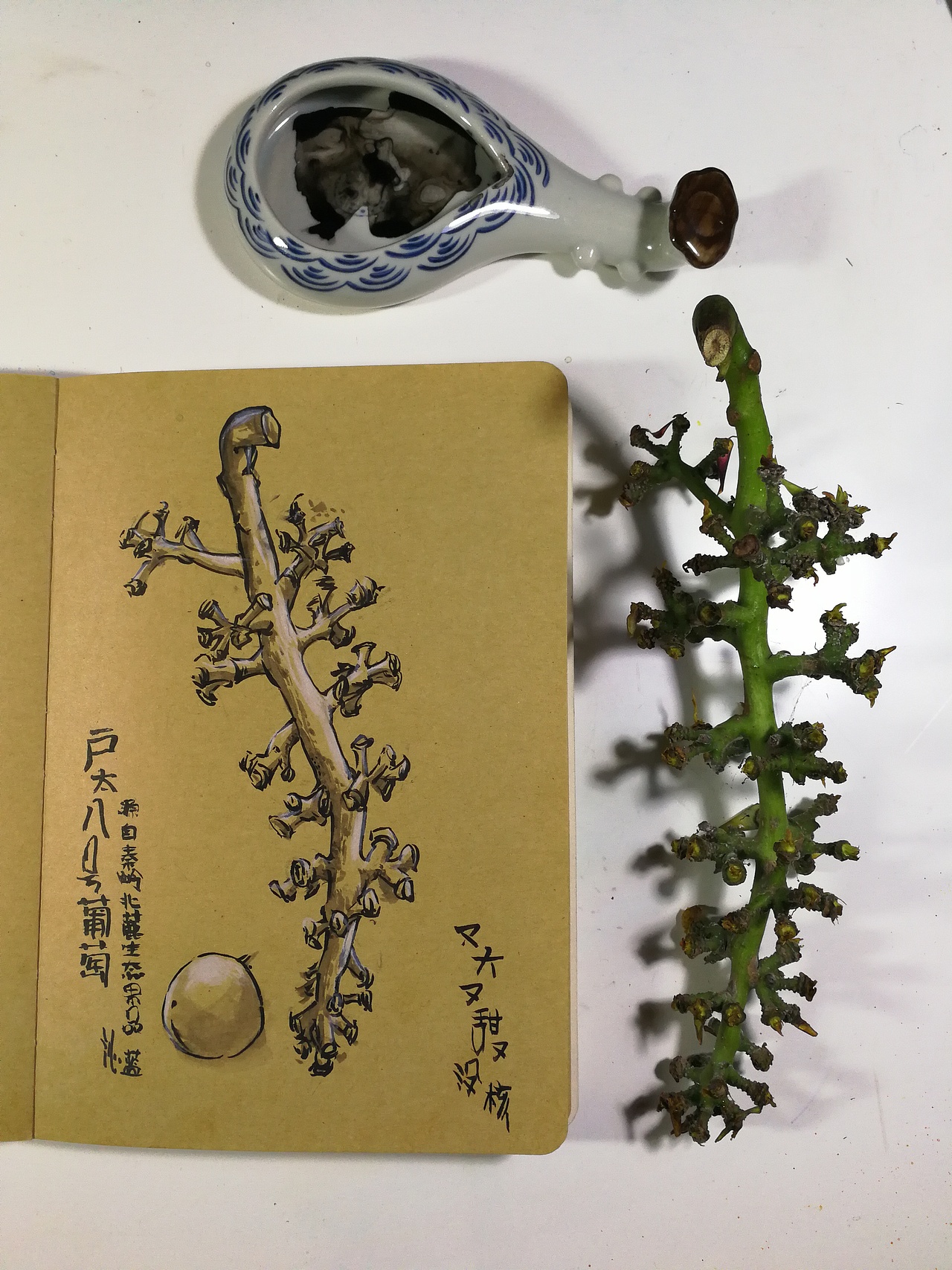 带着画笔去旅行（图ZMzMzNTE3NzQ0） - 商业插画 - 站酷设计师沁蓝LULU原创素材 - 站酷ZCOOL