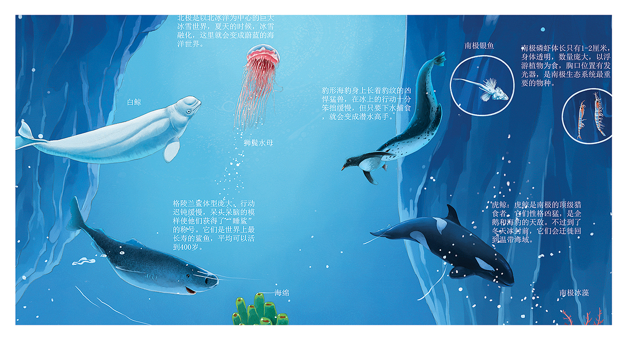 科普海洋地理太空绘本（图ZMzIwODcwODc2） - 绘本 - 站酷设计师果冻文化工作室原创素材 - 站酷ZCOOL