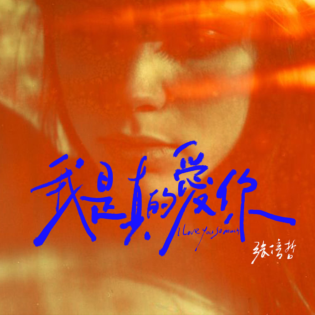 原创手写 | 声生不息宝岛季歌单（图ZMzM0NzM2NTE2） - 字体/字形 - 站酷设计师無字原创素材 - 站酷ZCOOL