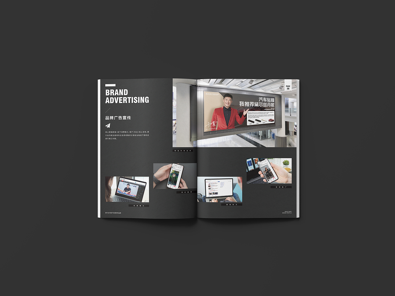 黛尔丝丹妮汽车贴膜画册设计