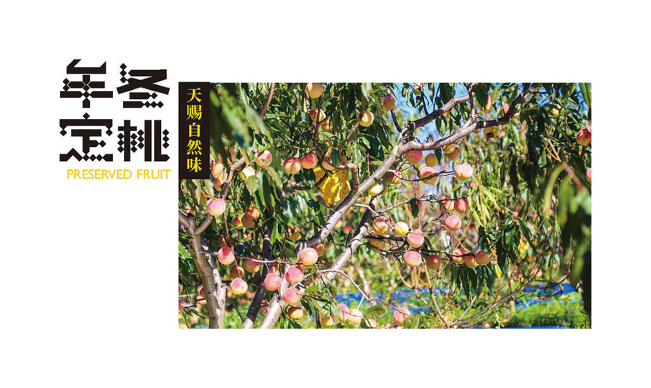 区域农产品品牌