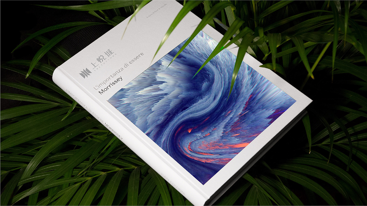 20190816如皋项目提案（图ZMzAxNjIzNTcy） - 品牌 - 站酷设计师王爷1011原创素材 - 站酷ZCOOL
