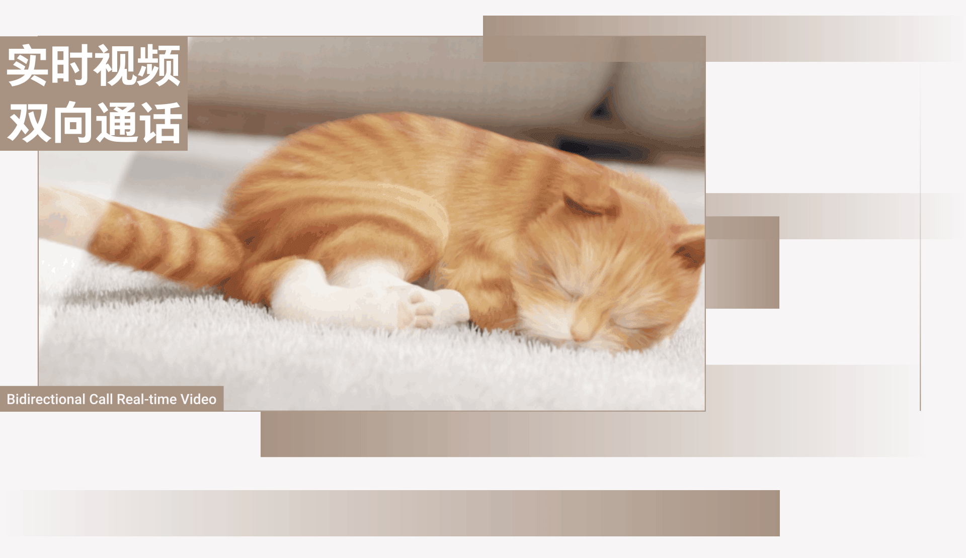 应变净无忧 | 石头P10 Pro自清洁扫拖机器人