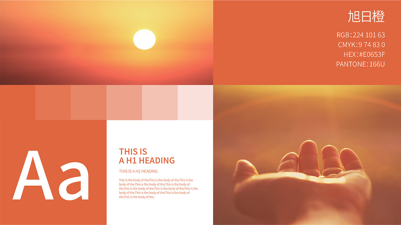 suntiko品牌形象设计（图ZMzEzNDk1MDE2） - 品牌 - 站酷设计师三格品牌创意机构原创素材 - 站酷ZCOOL