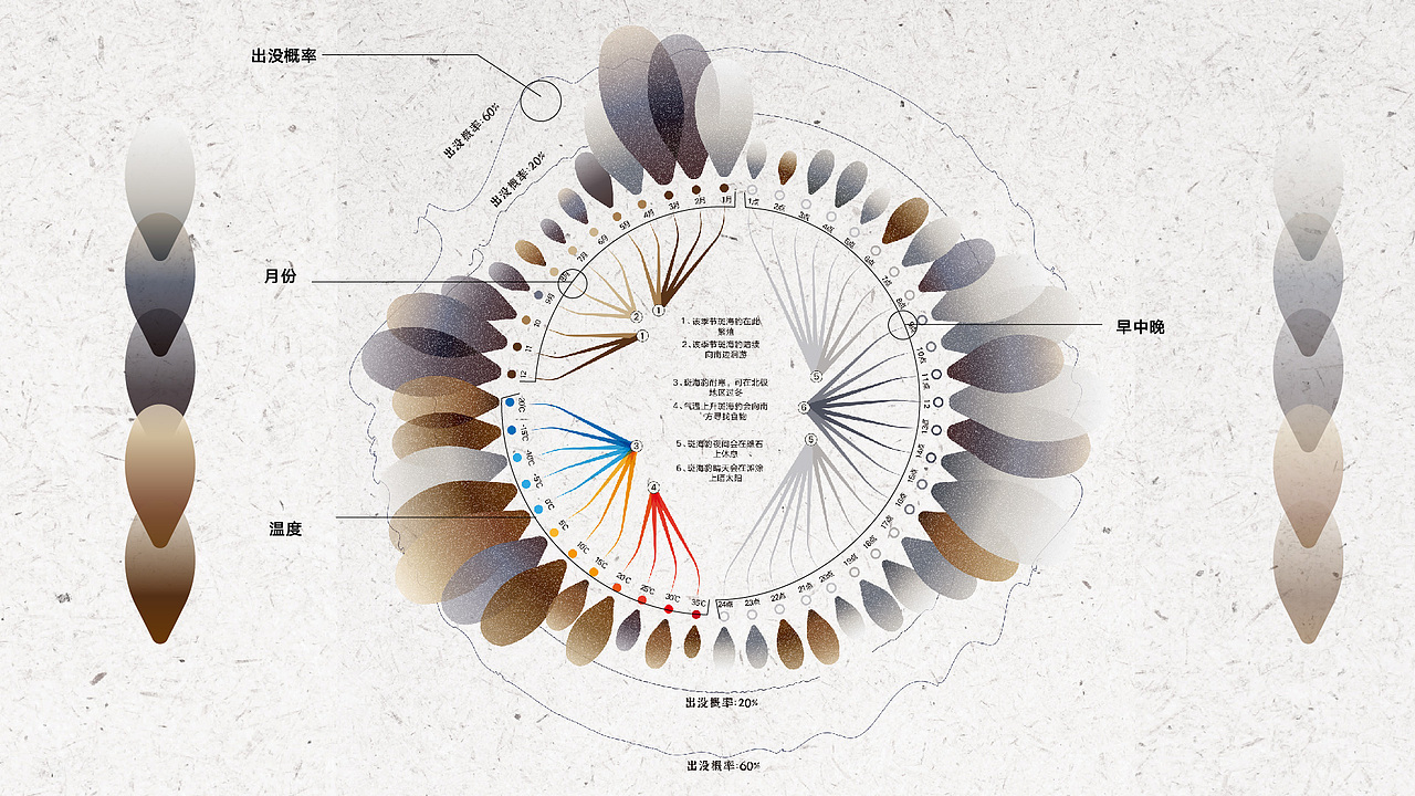 辽河口国家公园野生动物信息可视化设计