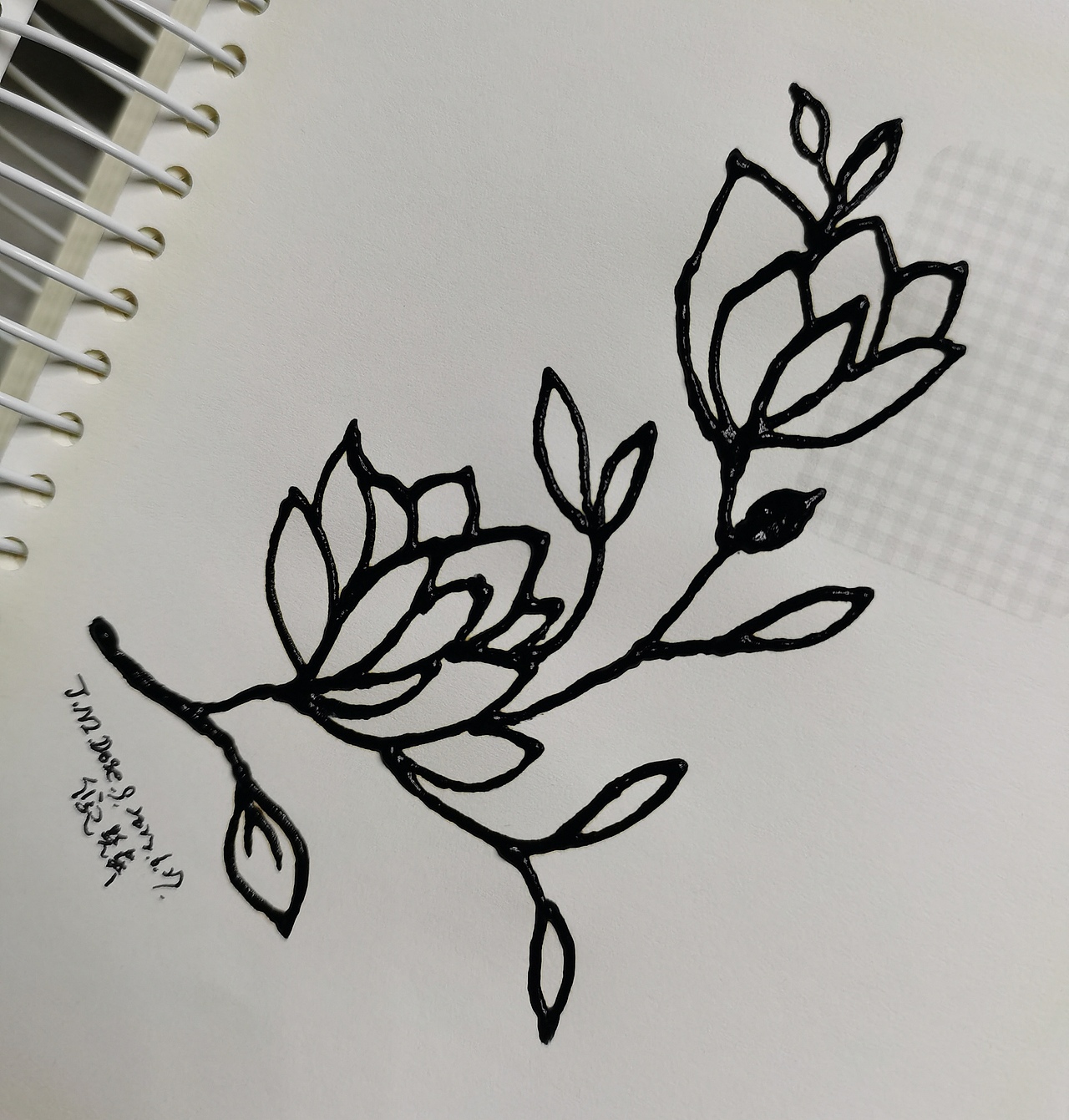 海娜作品集欣赏