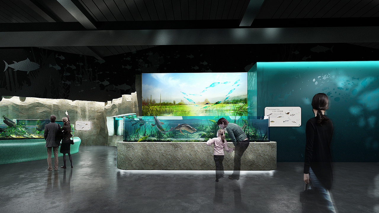 绍兴淡水鱼水族馆设计施工方案