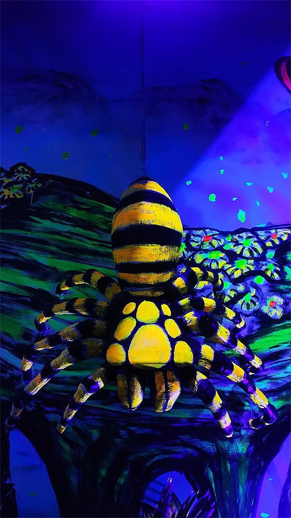 2022「手机摄影合集 」- 记录镜头下的美好瞬间