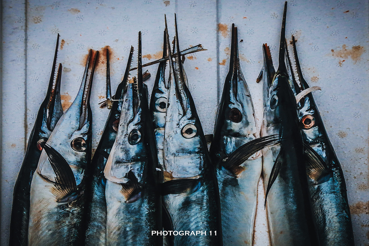 渔港（图ZMzIzNjk2NDc2） - 风光摄影 - 站酷设计师11ELEVEN原创素材 - 站酷ZCOOL