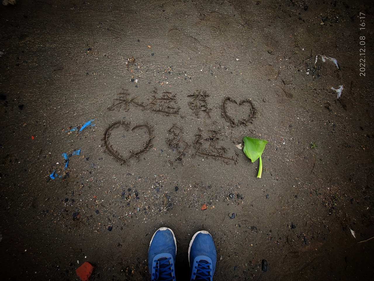 nbawxs2022年度作品总结选集