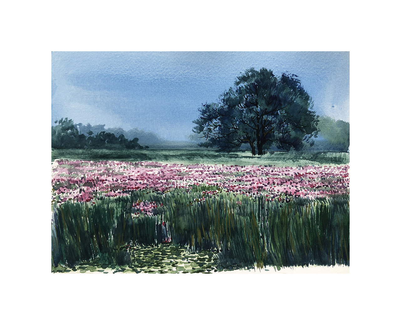 水彩风景——五月,初夏物语