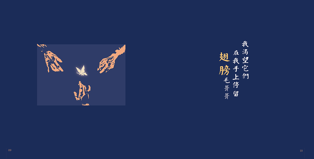 《蝶与梦:我的第二场人生》