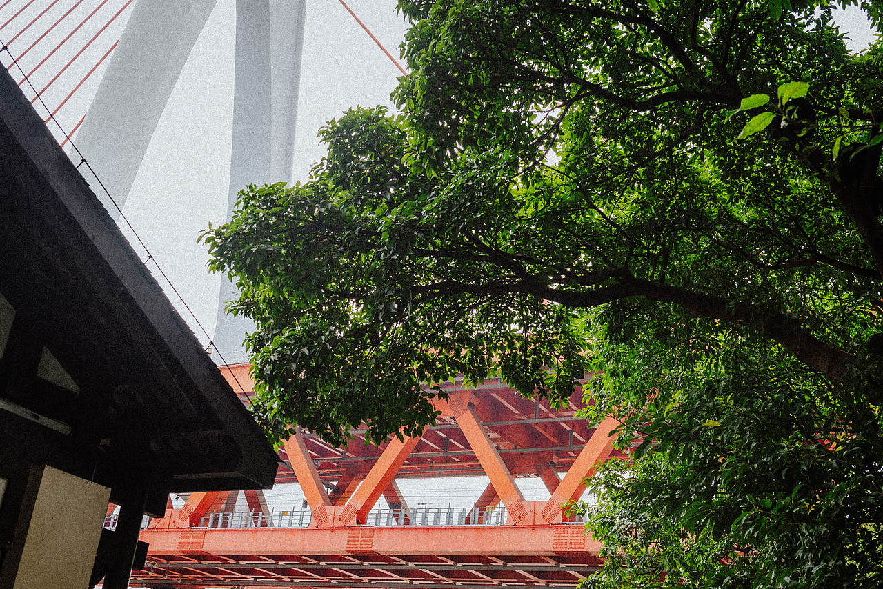 等春来（图ZMzIzMzcyMDIw） - 人文/纪实摄影 - 站酷设计师摄影师田由甲原创素材 - 站酷ZCOOL