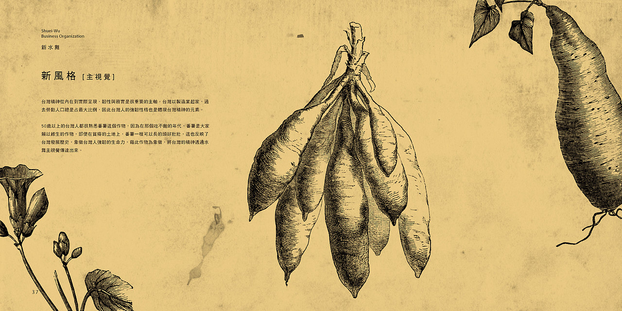 水舞馔品牌手册2版