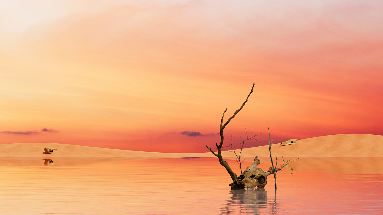 Shadow Series wallpapers（图ZMzU5ODAxNjQ4） - 闪屏/壁纸 - 站酷设计师米夏小雨原创素材 - 站酷ZCOOL