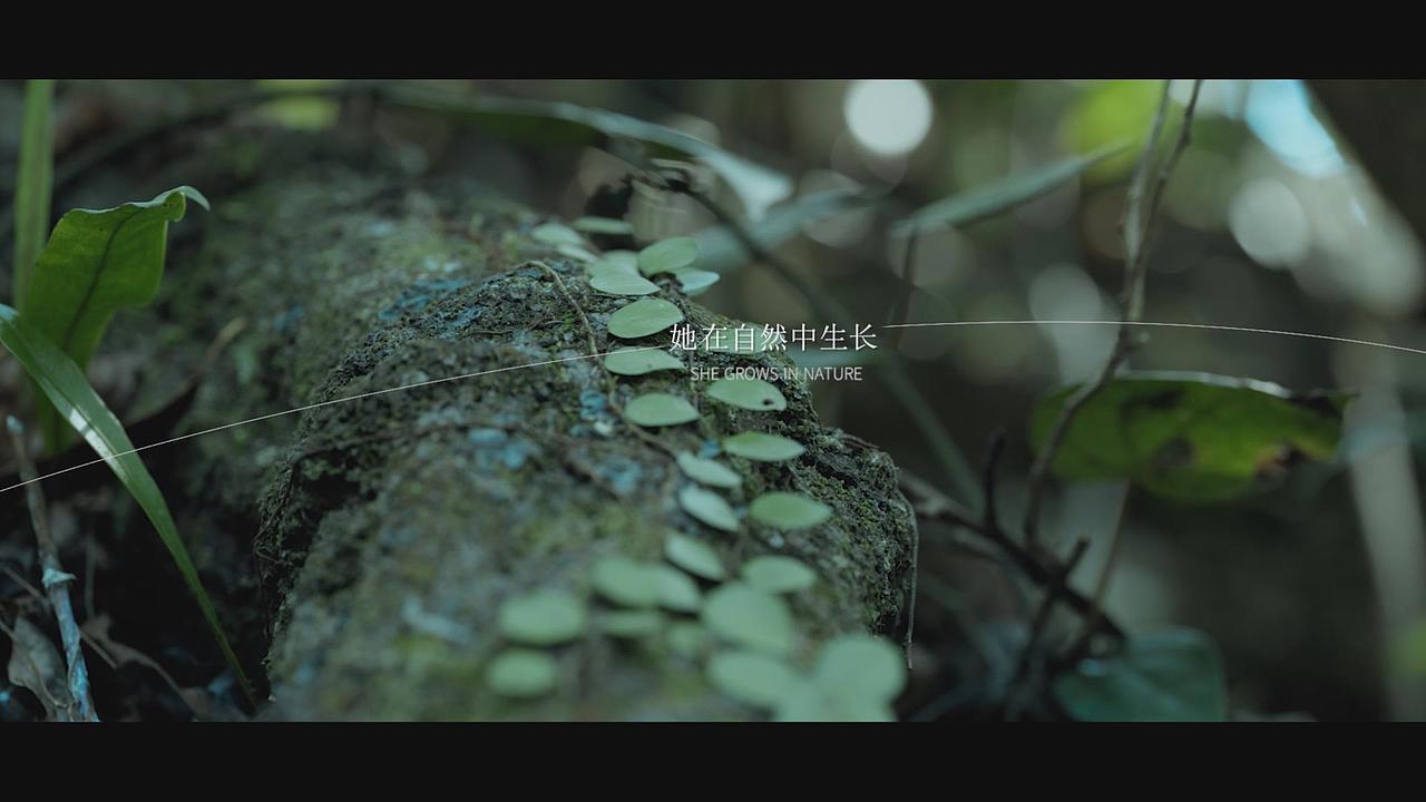 左木影视-左木的风/左木的绿  自然感品牌片