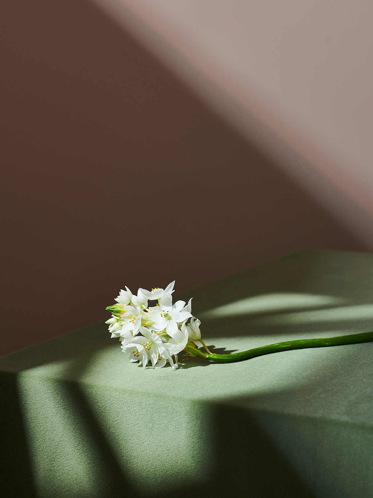 香薰蜡烛产品摄影美食摄影商业摄影（图ZMzM5NDgxMzU2） - 产品摄影 - 站酷设计师Cphoto商业摄影师原创素材 - 站酷ZCOOL