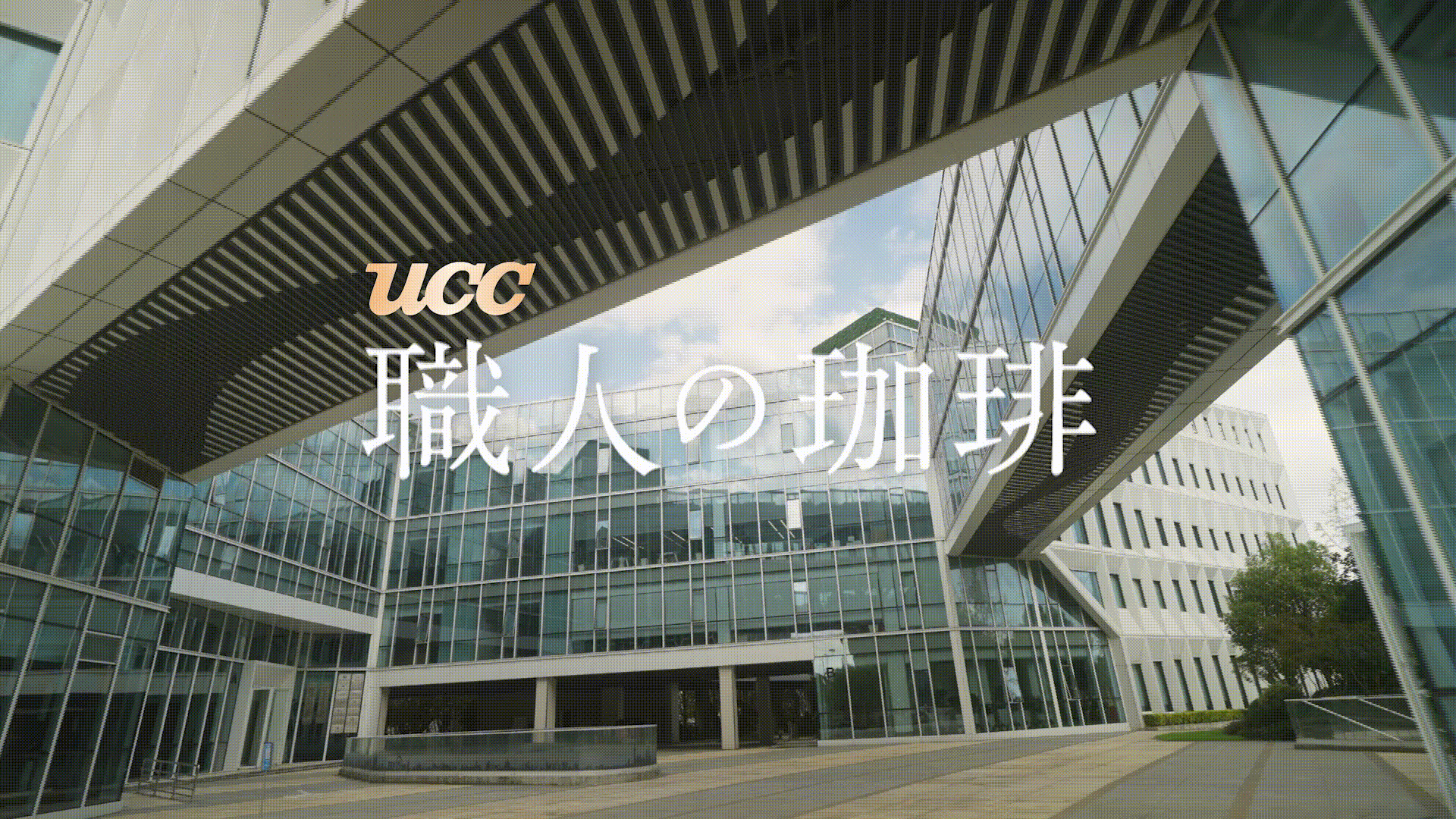 电商视频|UCC咖啡产品主图头图视频拍摄 X 皮脸猴影视
