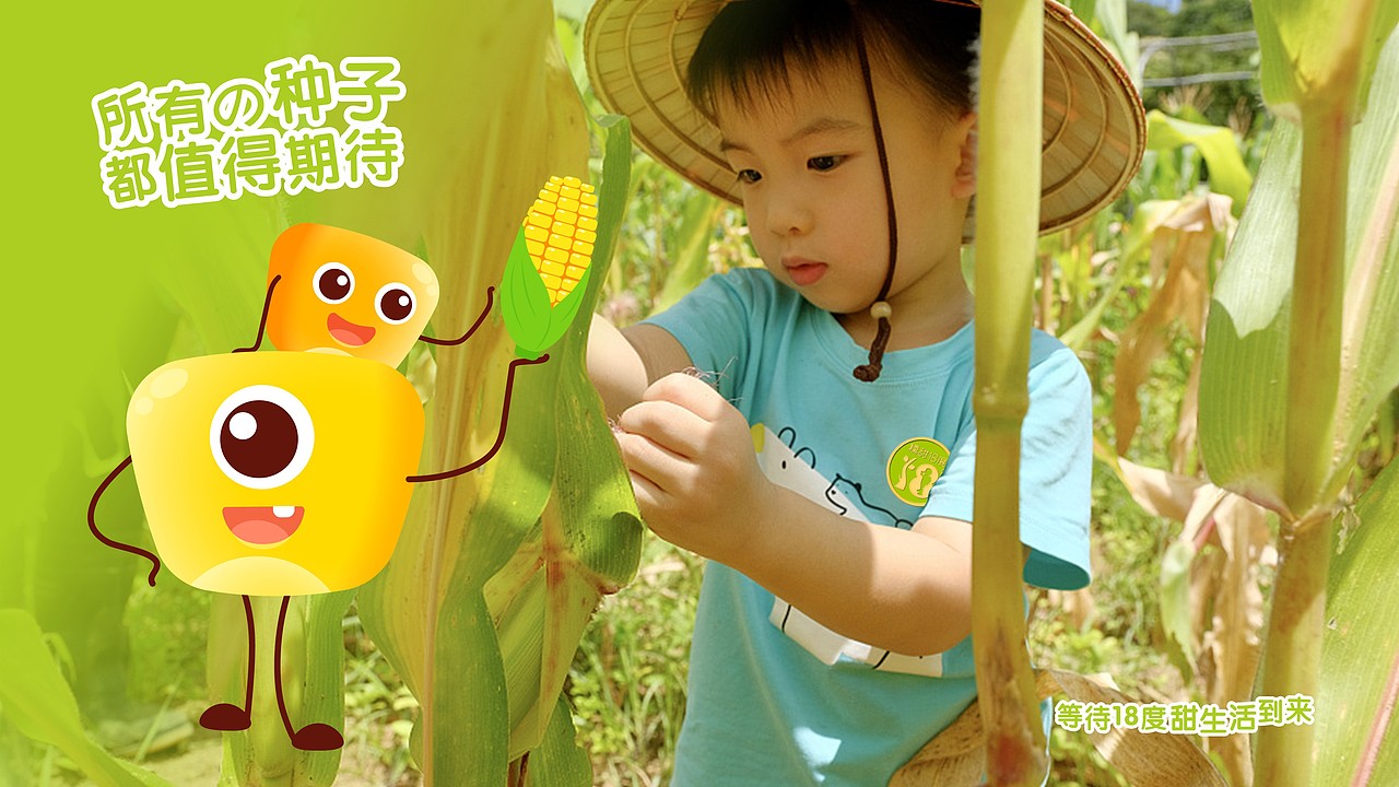 糯甜十八度鲜食玉米品牌包装设计