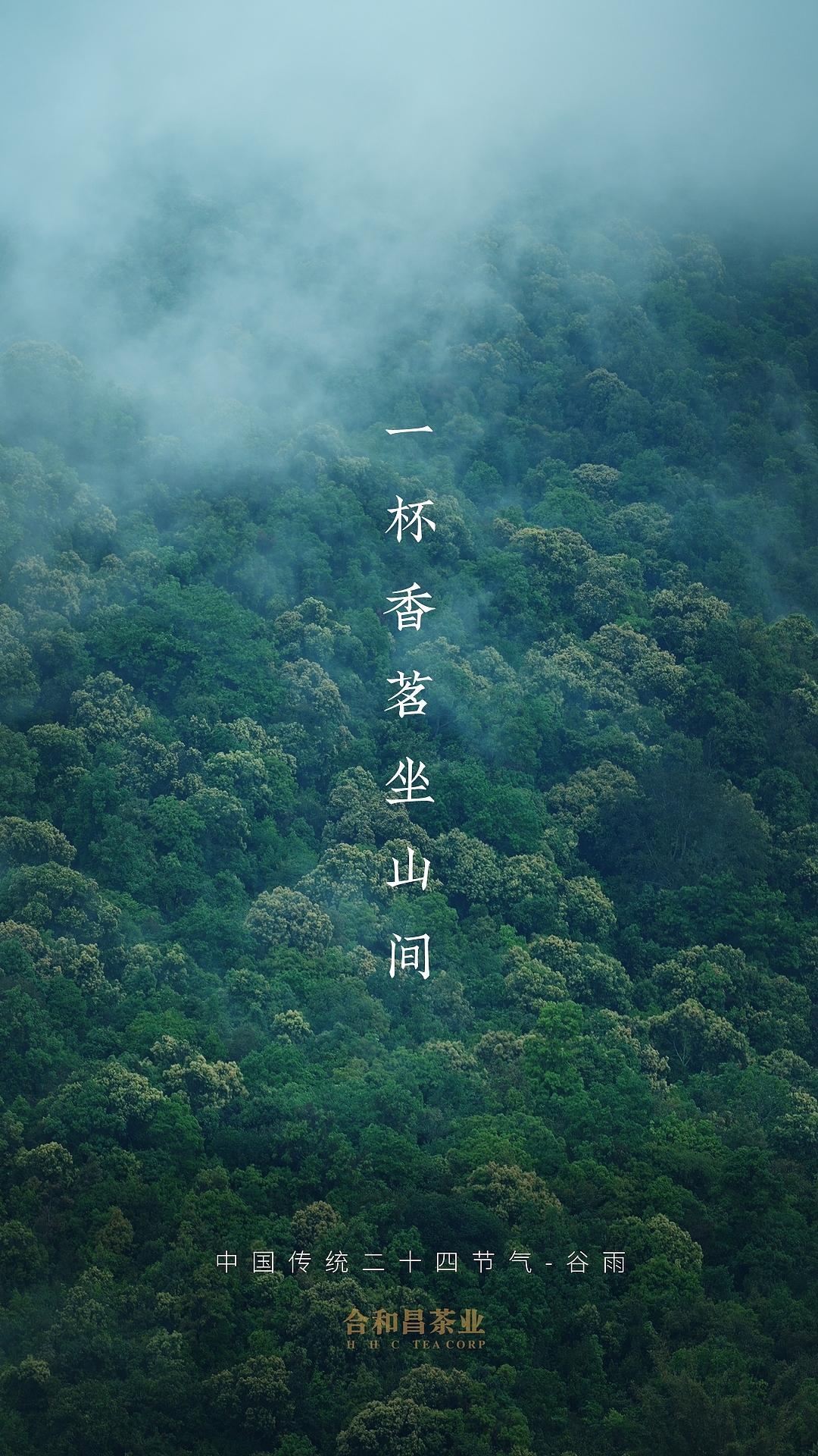 谷雨｜二十四节气-人在茶途（图ZMzAxOTg4MjAw） - 短片 - 站酷设计师摄影师大桂原创素材 - 站酷ZCOOL