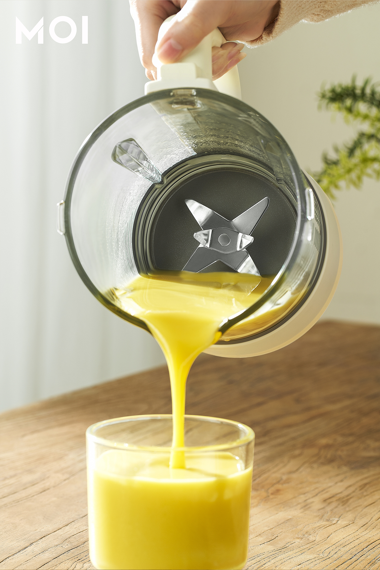 BRUNO豆浆机|作品摄影合集