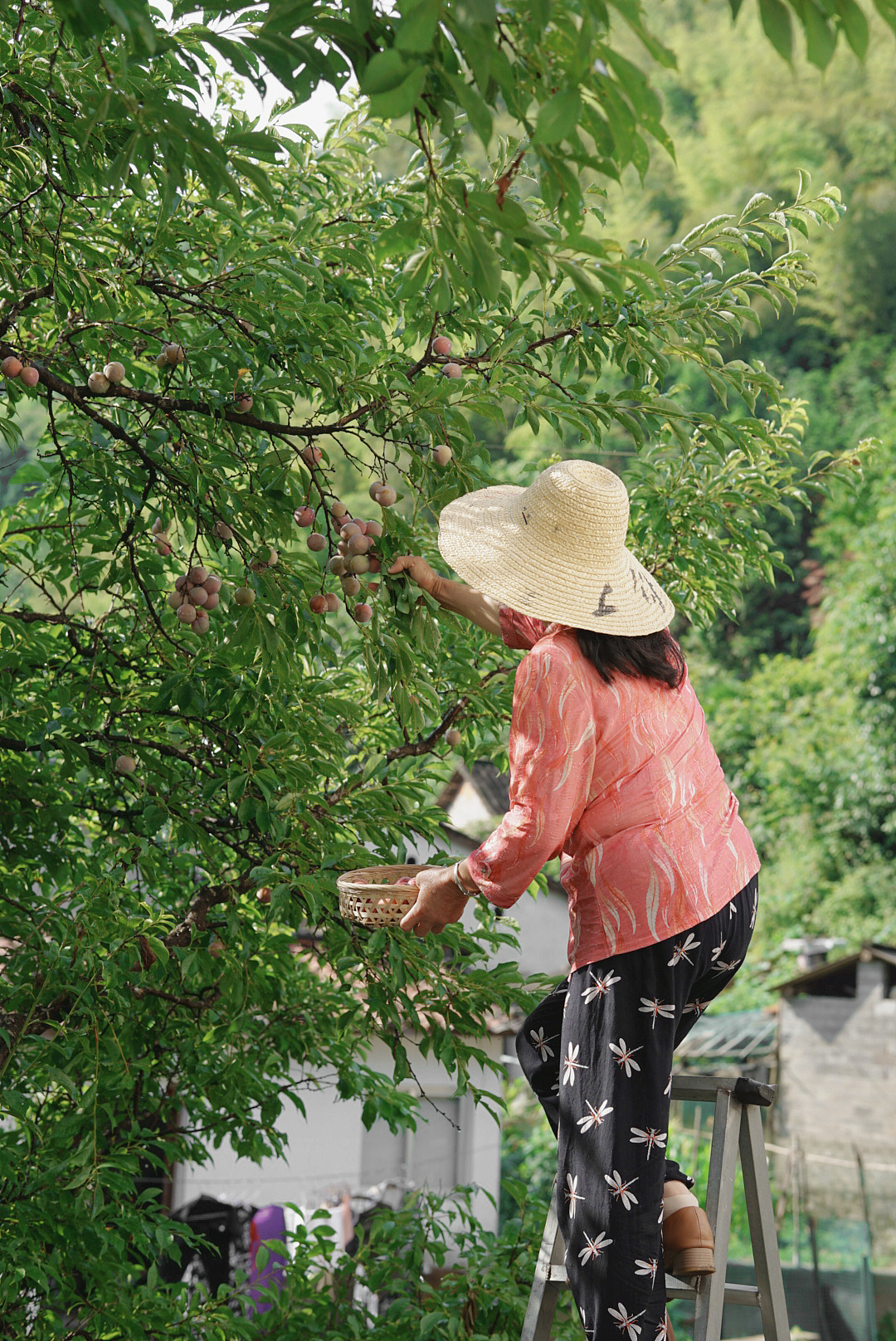 关于夏天的味道（图ZMzA3MTM4MDYw） - 其他摄影 - 站酷设计师日光山野原创素材 - 站酷ZCOOL