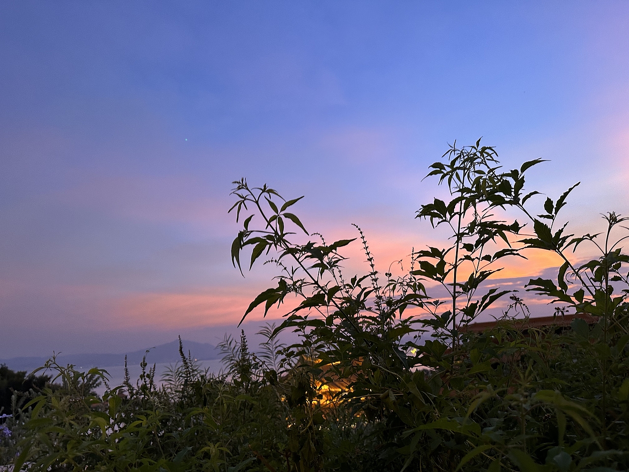 自然界的多巴胺（图ZMzUzNDM1Mzk2） - 风光摄影 - 站酷设计师Enjoyy原创素材 - 站酷ZCOOL