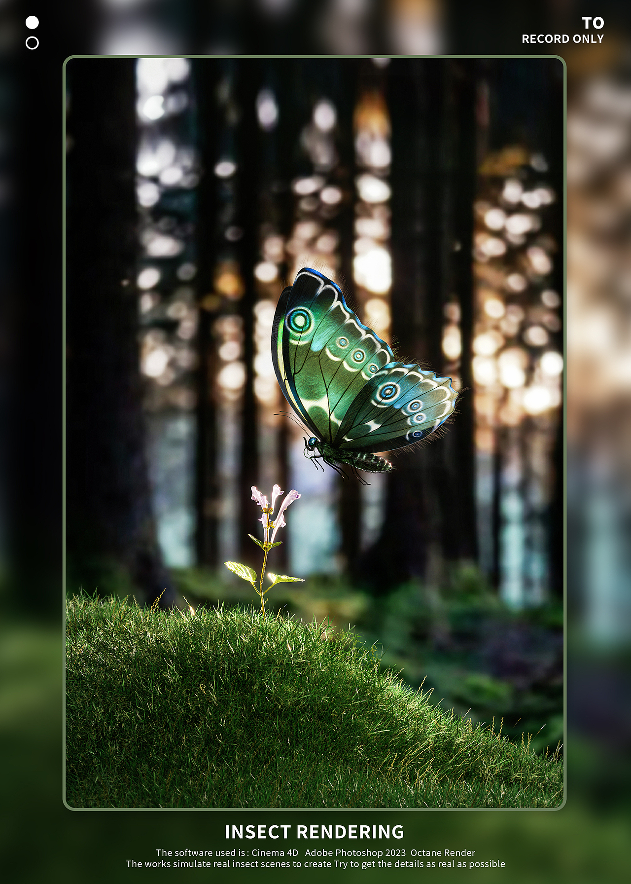 【昆虫Render】（图ZMzI1MTY4MTc2） - 人物/生物 - 站酷设计师Rxu_双木原创素材 - 站酷ZCOOL