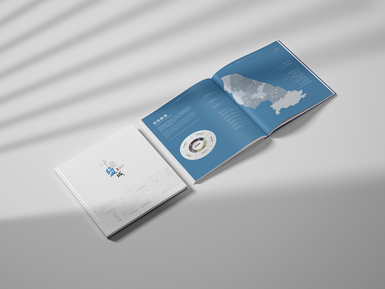 新中国盐城（图ZMzQyMDMwOTQ0） - 书籍/画册 - 站酷设计师猴二哥原创素材 - 站酷ZCOOL