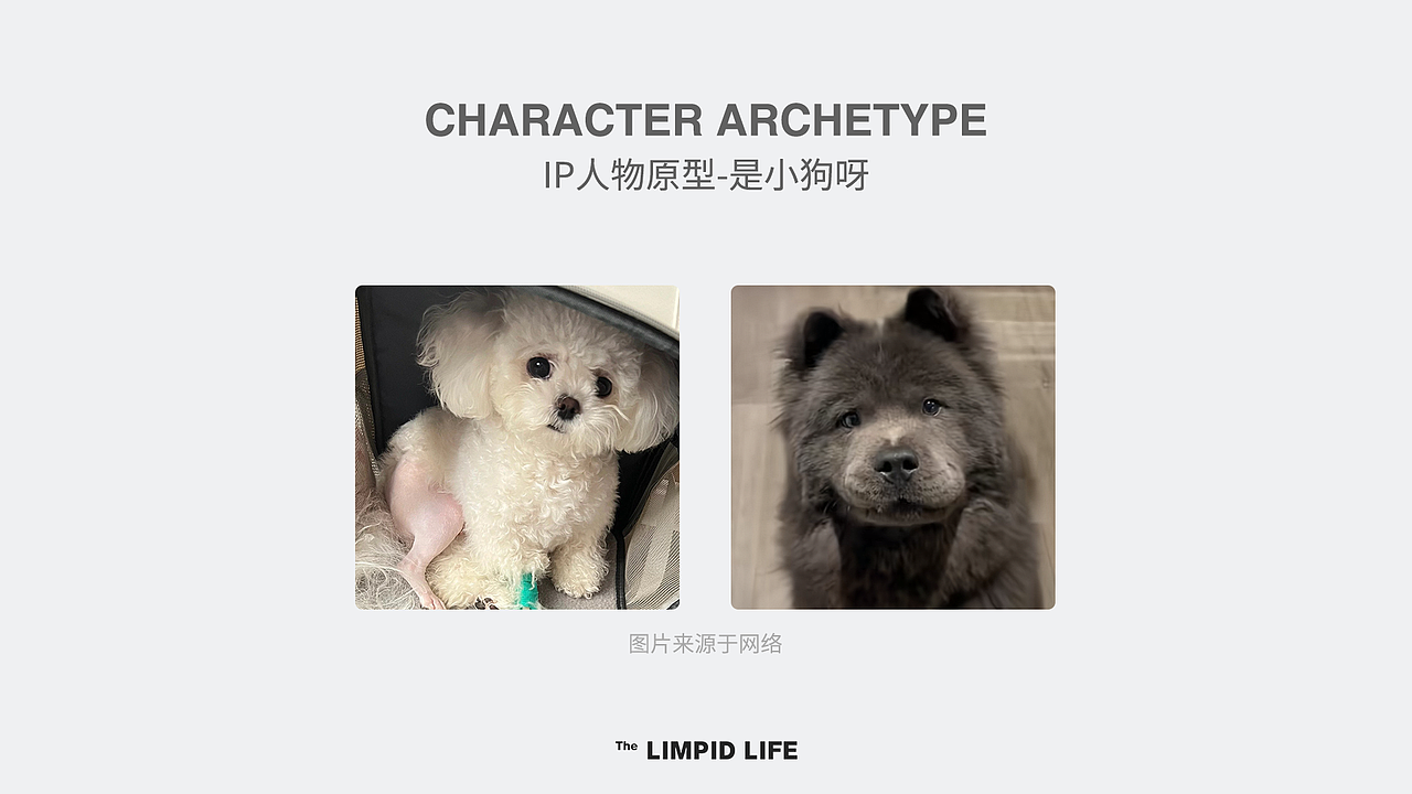 王白白和福多多IP周边设计