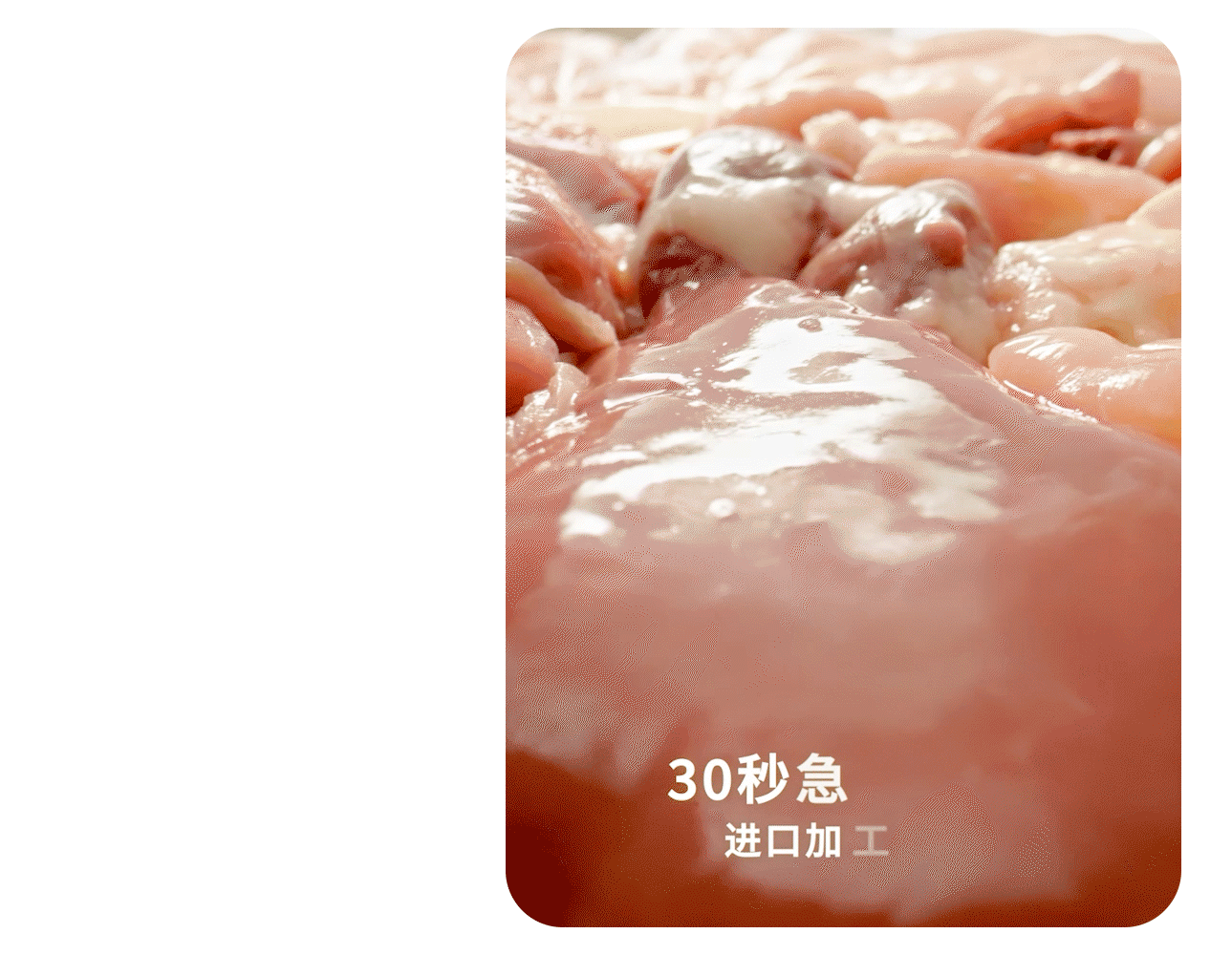 【超级单品】佩玛斯特&乐趣视觉 猫粮超级单品分享