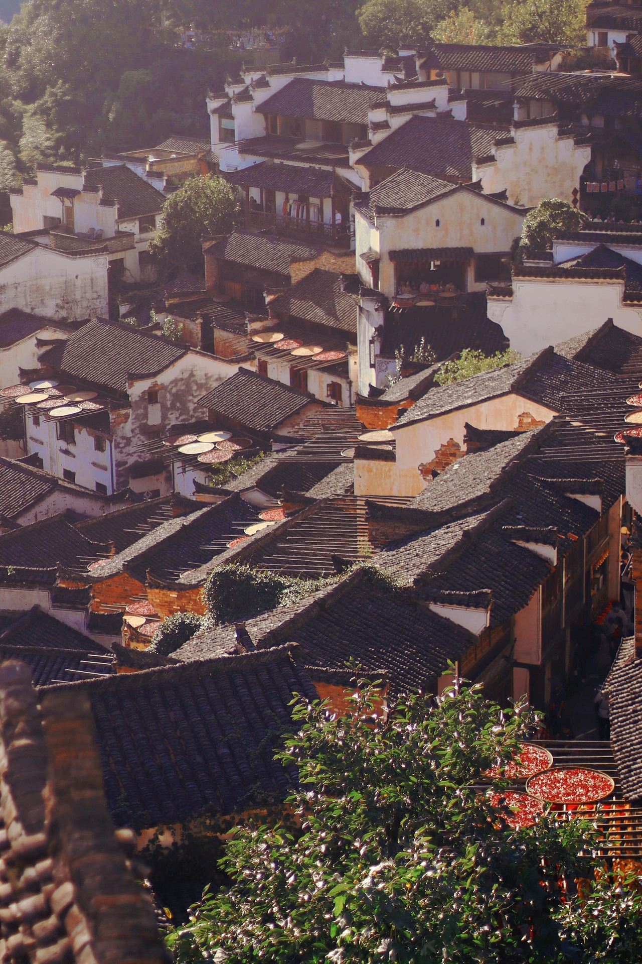 篁岭|在秋天看一个晒秋