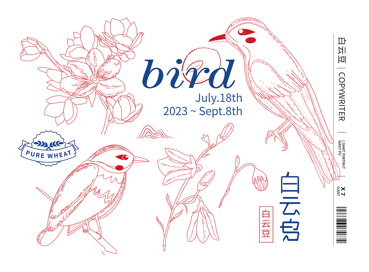 《白云鳥》品牌設(shè)計(jì)（圖ZMzU3MTMyNDQ0） - 包裝 - 站酷設(shè)計(jì)師小木蟲123456原創(chuàng)素材 - 站酷ZCOOL