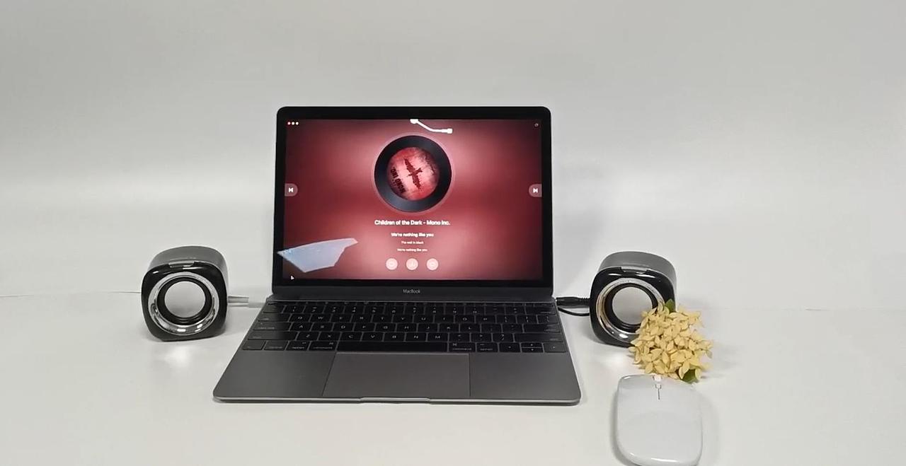 电脑音响台式笔记本通用有线小音箱