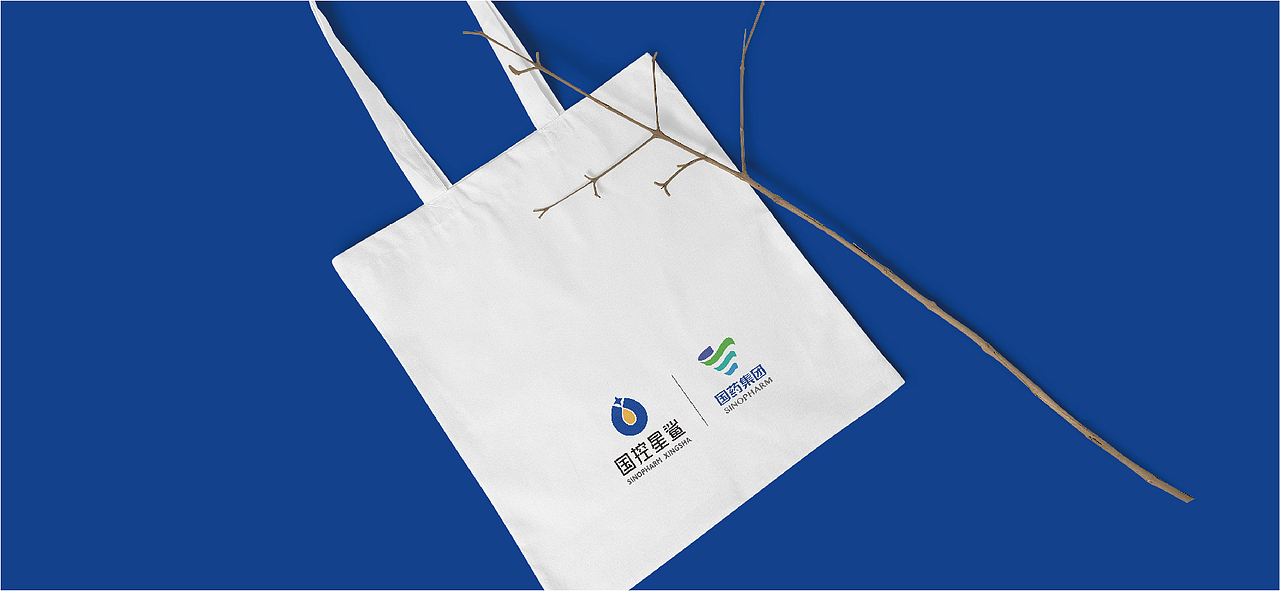 凭“星”而来 “鲨”耀新生——品牌焕新