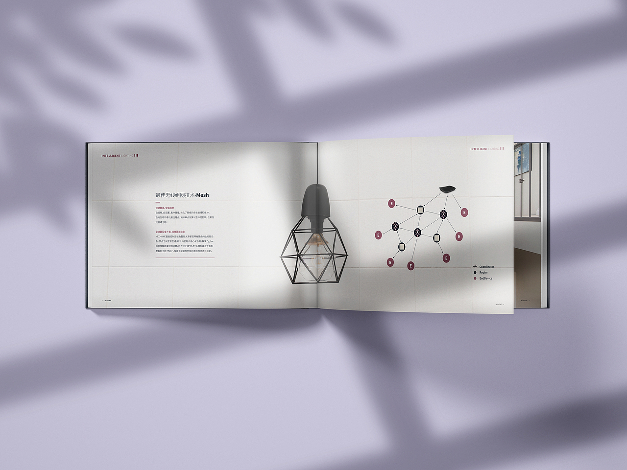 星网锐捷丨智能照明产品手册 科技画册设计