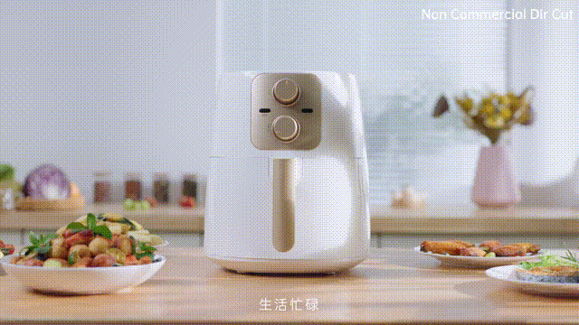 空气炸锅 X 《一锅百用》X Dir Cut