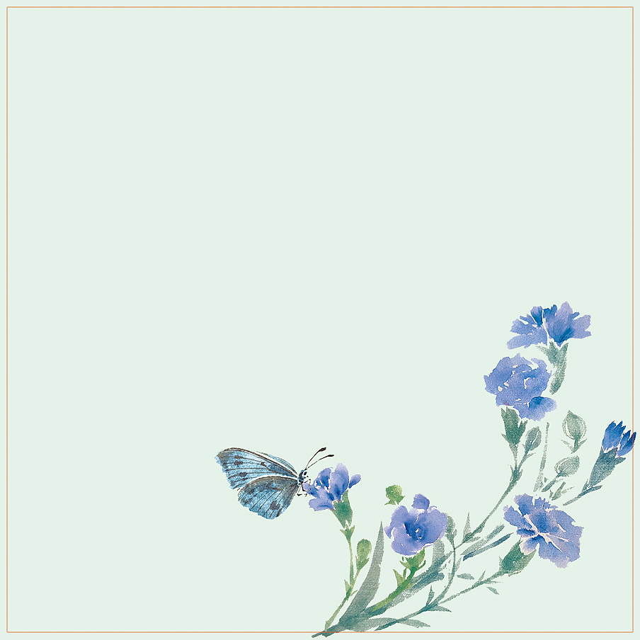 清纯挚爱 康乃馨主题拍纸本、便签本