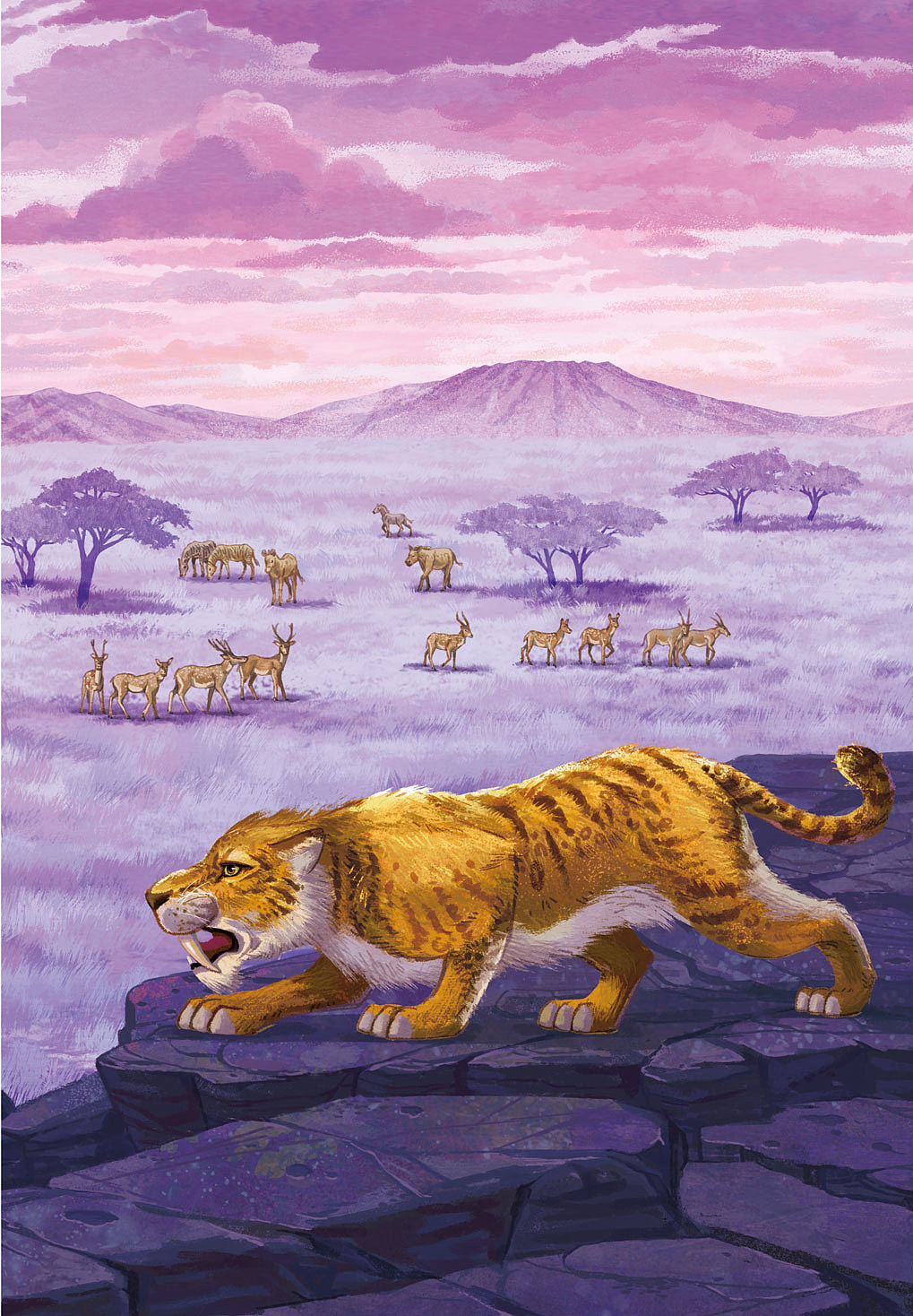 《劍齒虎家族》封面插畫(huà)（圖ZMzU3NTE2MjI4） - 商業(yè)插畫(huà) - 站酷設(shè)計(jì)師綠漆_原創(chuàng)素材 - 站酷ZCOOL