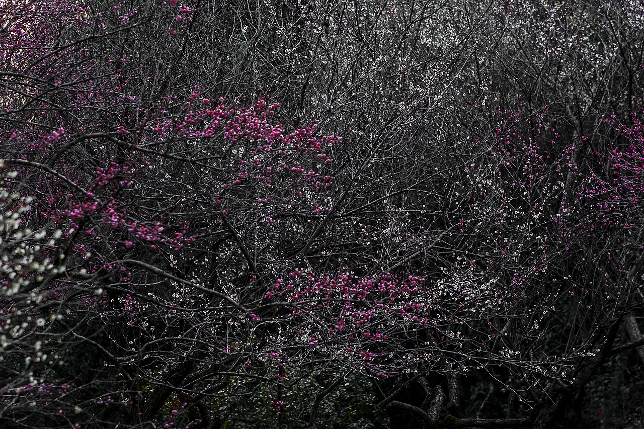 城市风貌系列6（图ZMzYzMTQ2MDA4） - 风光摄影 - 站酷设计师莫潘原创素材 - 站酷ZCOOL